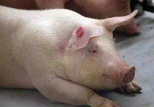 低温症突袭怎么办?看看自己有没有做好这6点!