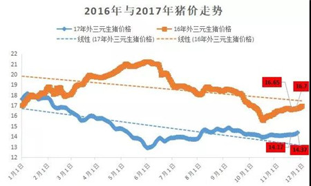 猪价上涨成定局？正向15冲刺！