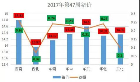 猪价上涨成定局？正向15冲刺！