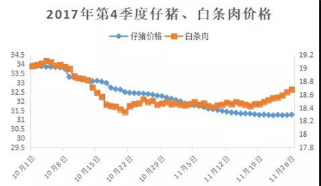 猪价上涨成定局？正向15冲刺！