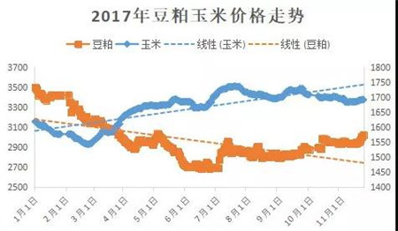 猪价上涨成定局？正向15冲刺！