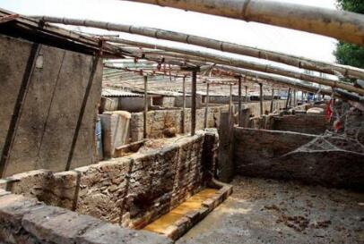 “巨量泔水进养猪场”后续:南京涉事养猪场已被关停