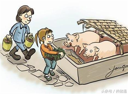俗话说“人养猪，猪养田，田养人”，这样处理粪污猪场就不会被拆
