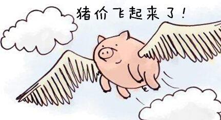 对于当前行情，众多猪友已经屡次更换心中的出栏标准，可以肯定2017年下半年最激烈的博弈将会在12月份上演。