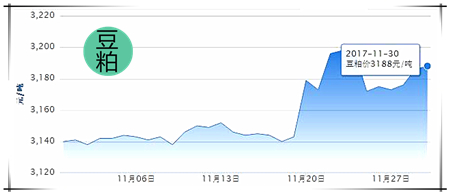 11月30日猪评：涨势略收缓 12月能否延续涨势获得新突破？