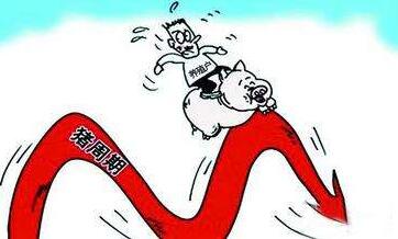 雏鹰农牧侯建芳:全产业链模式平滑猪周期