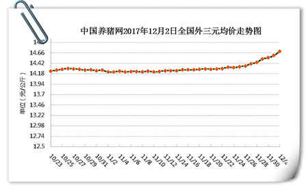 12月02日猪评：猪价暖到心坎里，养猪户今年冬天不再冷！