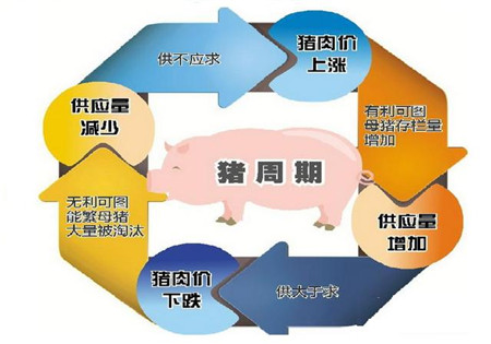 猪肉行情再起 下一个牧原股份将在这里孕育