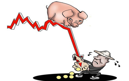 猪场卖猪的4个规律,猪经纪不会告诉你,养猪人多赚钱