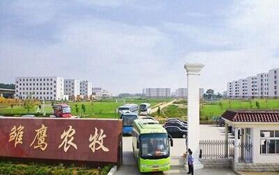 国内生猪养殖行业市场化程度很高,因此养猪企业几乎无一能够避免“猪周期”的影响。如何在“猪周期”低谷不亏损甚至盈利,也成为整个行业最大的考验。