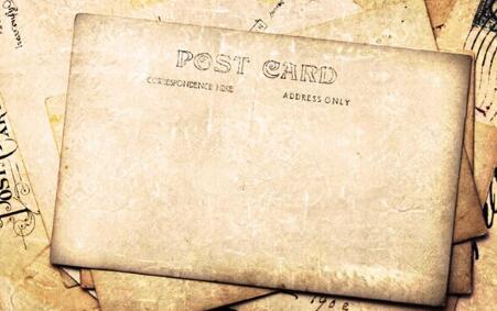 一个明智的养猪生产者,不要把精力放在怎样把病猪治好上,而应放在怎样让猪不得病上