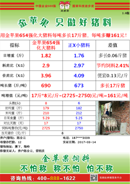 双胞胎：大猪饲养成本要降低，这些方法有讲究