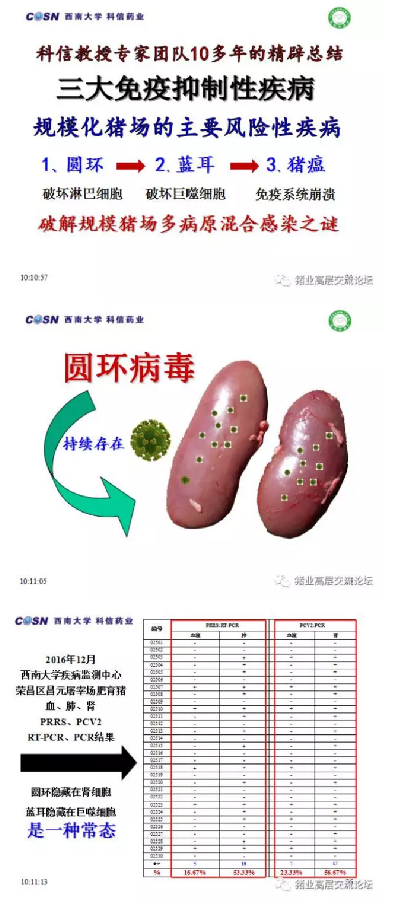 要想把猪养好，必须先把猪养活！！！