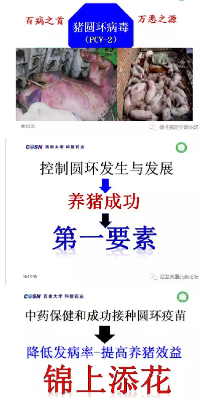 要想把猪养好，必须先把猪养活！！！