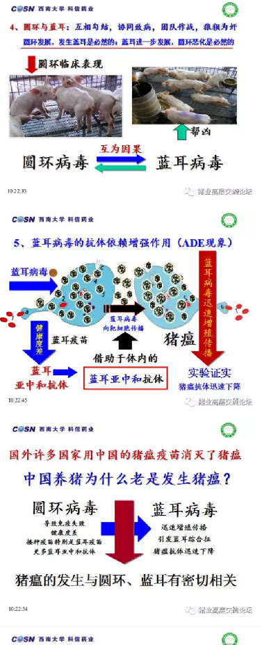 要想把猪养好，必须先把猪养活！！！