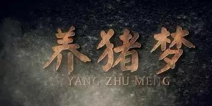 ;更多的地方则是虽然没有划定禁养区,但却对养猪场提高了环保的标准。这让很多养猪场尤其是农村小养猪场压力山大。