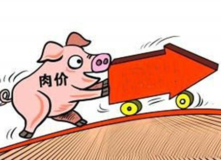 预计冬至会大涨！无大跌可能！原因是...