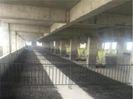 福建晋江生猪“住”进高楼 养殖不再臭烘烘