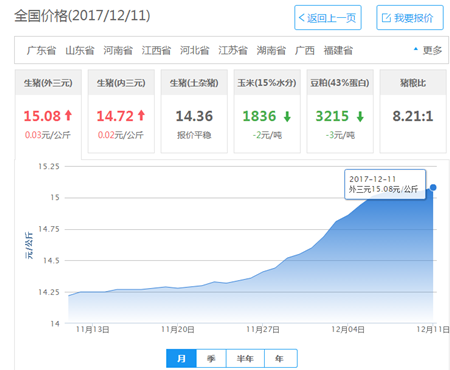 年关将至 猪价迎来新一轮高峰！