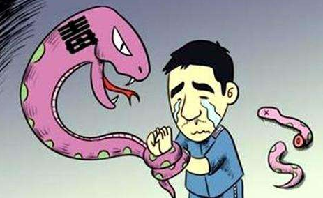 野外猪场变“嗨”场!5人“煲猪肉”被一锅端!