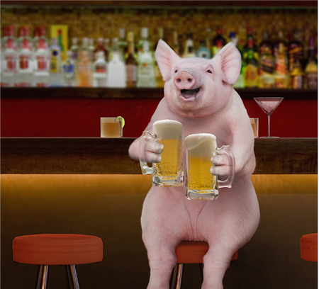 卖一头猪竟有44到100块的差价?卖猪原来有这么多“门道”!