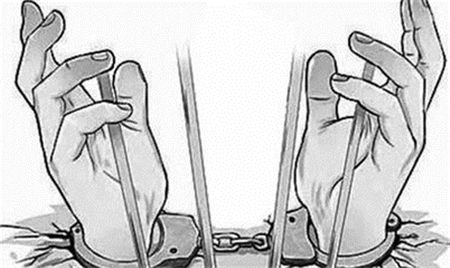 男子打条骗走700头猪 被判刑后发现漏罪加刑