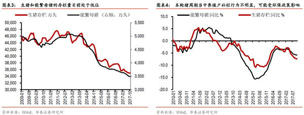 “风起通胀”——环保限产可能温和推升明年猪价