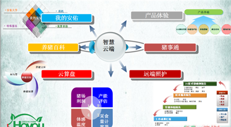 第三届中国猪业高峰论坛——《由3D走向3C的未来养猪》