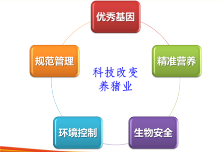 　　第三届中国猪业高峰论坛——《多元化猪业发展的探讨与尝试》 　　 　　报告人：扬翔股份副总裁-高远飞 　　 　　222.png 　　 　　000.png 　　 　　扬翔集团的多元化养猪经历 　　 　　养种猪——龙宝猪——养肉猪——公司+农户——托管养猪 　　 　　从480头到9万多头的跨越式发展 　　 　　扬翔的养猪经历-关键节点 　　 　　1.png 　　 　　探讨之一：我们把基因放在首位——一定要重视基因的力量 　　 　　2.png 　　 　　一开始养猪就养公猪 　　 　　扬翔养猪选择了一开始就养公猪的路子，经历了“好养、好看、好多、好快”四个阶段。具体品种可细分微为—— 　　 　　1998-2004的“好养”龙宝猪 　　 　　2005-2008的“好看”新美系 　　 　　2009-2014的“高产”新美系和“快大”新美系 　　 　　2015-2020的高产新美系、高产秀博丹系、快大父系和“华系一号”猪 　　 　　扬翔已提前一步进行基因组育种的研究，这也是国内部分大型养殖企业始终致力攻克的方向！ 　　 　　探讨之二：我们重视环境条件 　　 　　在养殖环境设计上，扬翔也对多种养殖环境（圈舍）进行利弊对比后，选择了耗能更低、更能节省空间的楼房聚落式圈舍。 　　 　　不同圈舍环境的利弊分析 　　 　　传统开放式——自然通风，保温差，舍内温度不能人为控制 　　 　　半开放式——有一定隔热能力，圈舍内外温差不大，无环控设备或安装风扇 　　 　　封闭式——机械通风，环境封闭，保温性能好，能耗高 　　 　　楼房聚落式——地沟通风，环境可控，节省空间，能耗低 　　 　　而这样最终的原则即是——保障动物福利，应用科技，精准调控舍内温度，给猪创造更加舒适的生活环境。举个简单的例子——水泥地相较于网床，其导致仔猪腹泻的概率至少高30%-40%！环境条件对于养猪而言，格外重要！ 　　 　　探讨之三：我们钻研精准营养 　　 　　何谓“精准营养”？在扬翔看来，构成精准营养需要做到“五位合一”！即—— 　　 　　精准营养需求、精准原料检测、精准配方调整、精准生产加工、精准饲喂管理。