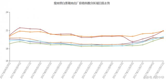 猪市分析：利好利空皆两说，下一节点又在哪里