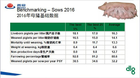 DLG研发总监Hans：提高养殖效率是减少环境压力的重要方法