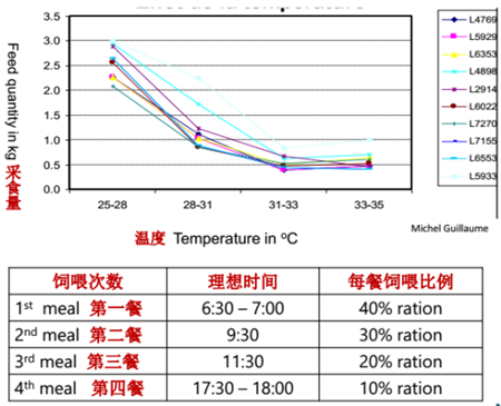 如何最有效的提高窝产子数和PSY？想知道吗？！