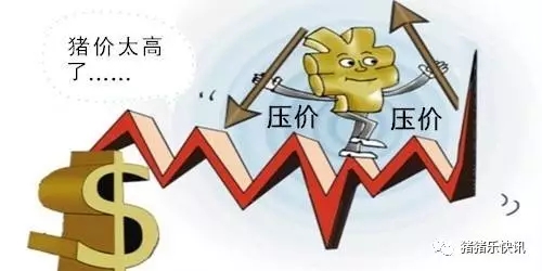 东北继续下跌，这是为什么？原因就在这里