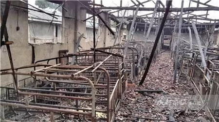 猪价上涨是大势,但安全隐患也不容忽视!