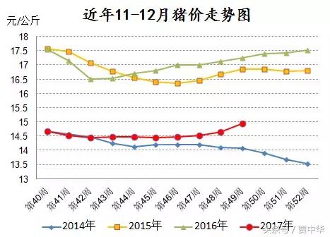 屠宰上量！猪价还要继续涨！