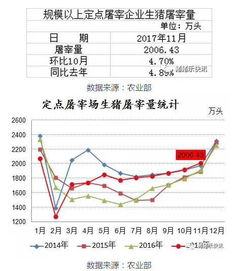  猪猪乐快讯