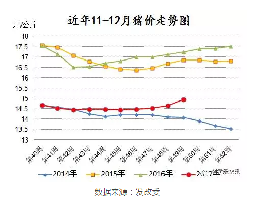  猪猪乐快讯