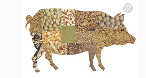 2017年，饲料行业十大关键词