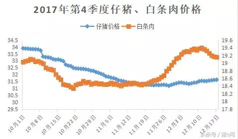 下旬猪价要大跌？不！我认为还有希望 　