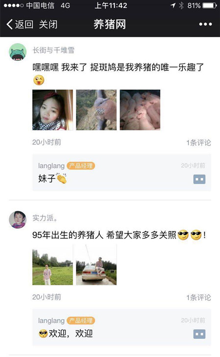16省份猪价向8元冲刺，猪价震荡的背后是上涨！
