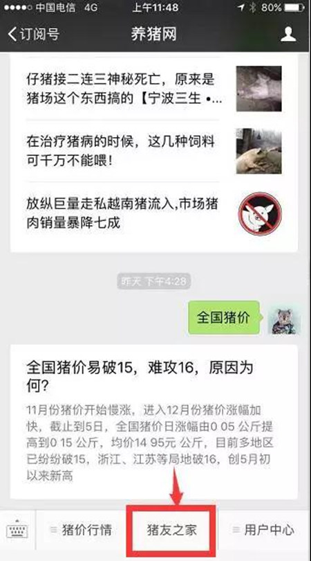 16省份猪价向8元冲刺，猪价震荡的背后是上涨！