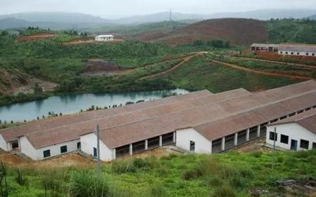 猪场建设选址,这几个原则是必须坚持的