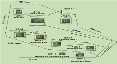 矢志不渝育良种	  厚积薄发占鳌头