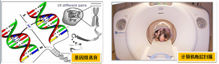 矢志不渝育良种	  厚积薄发占鳌头