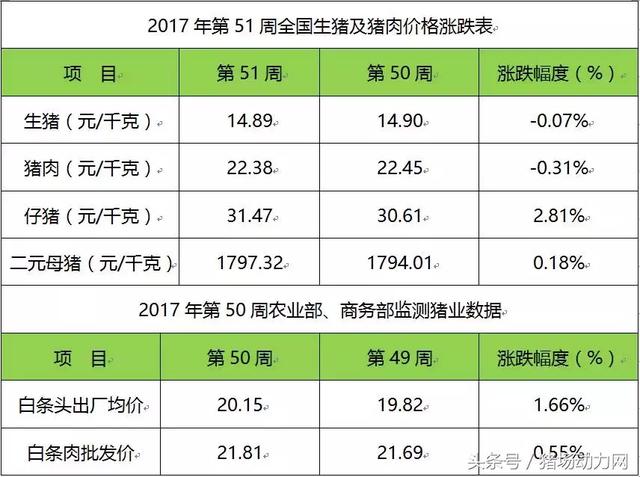猪价太任性，冬至依然不见涨！别急，春节还在后头