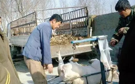 这几年来,国家政策向三农领域倾斜,对农业生产的扶持力度很大,各种惠农补贴政策层出不穷,有力促进农村的经济迅速发展。现