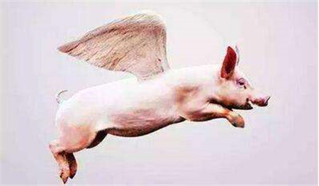 今日全国生猪(包含外三元、内三元和土杂猪)均价至14.75元/公斤,较昨日下跌0.01元/公斤,跌幅为0.07%。外三元最高价格至16.3元/公斤,土杂猪养猪巴巴网格为12.7元/公斤。