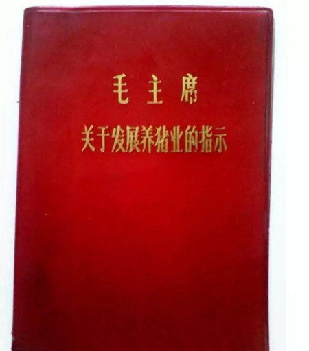 毛泽东：关于养猪业发展的一封信