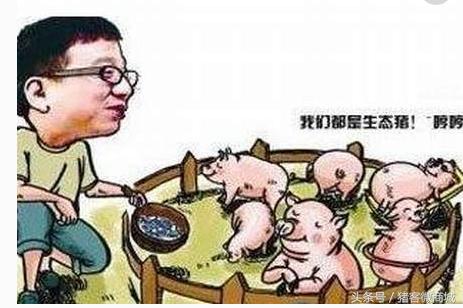 养猪重在饲养管理,而不是打个针,输个液,用个药!