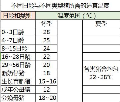 合理控制猪舍温度,提高养猪效益,你能做到吗?